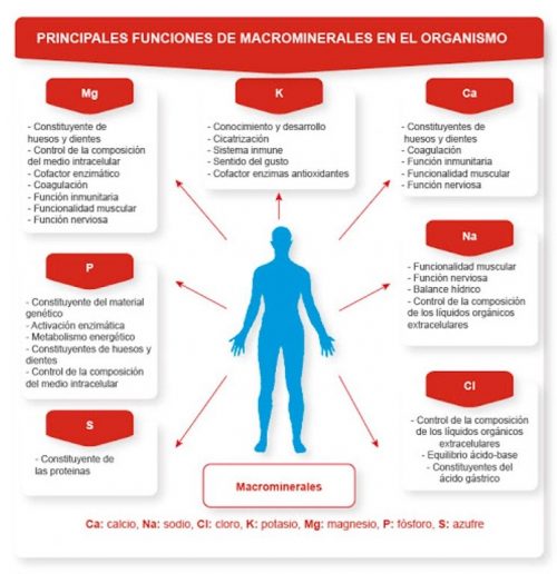 minerales